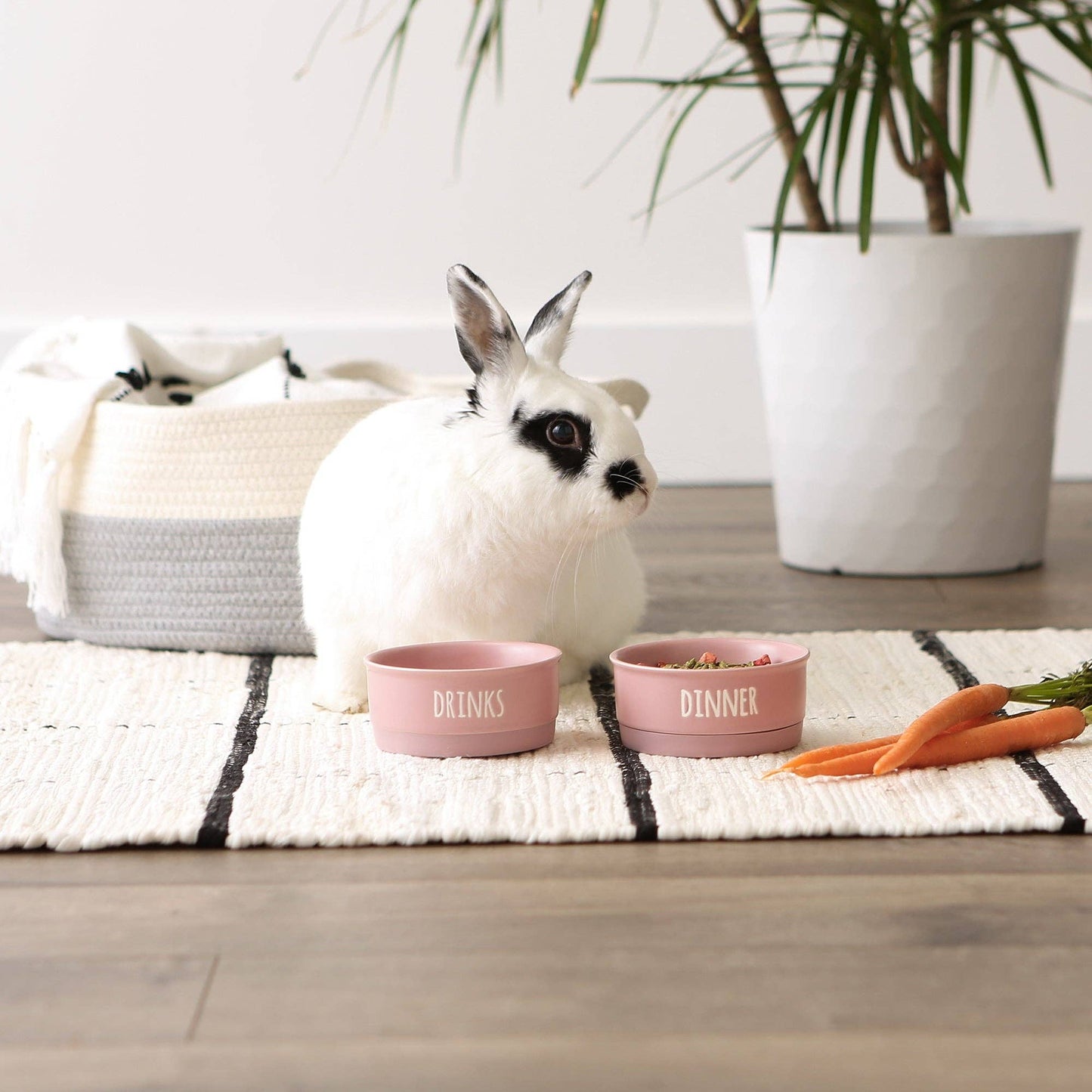 Pale Mauve Pet Bowl Set of 2 - Dinner And Drinks
