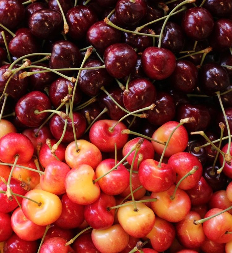 Red/Rainier Cherry Mix