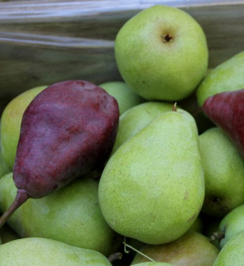 Northwest Pears - Half Crate