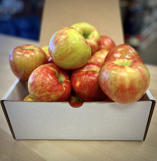 Washington Apples - 9 count