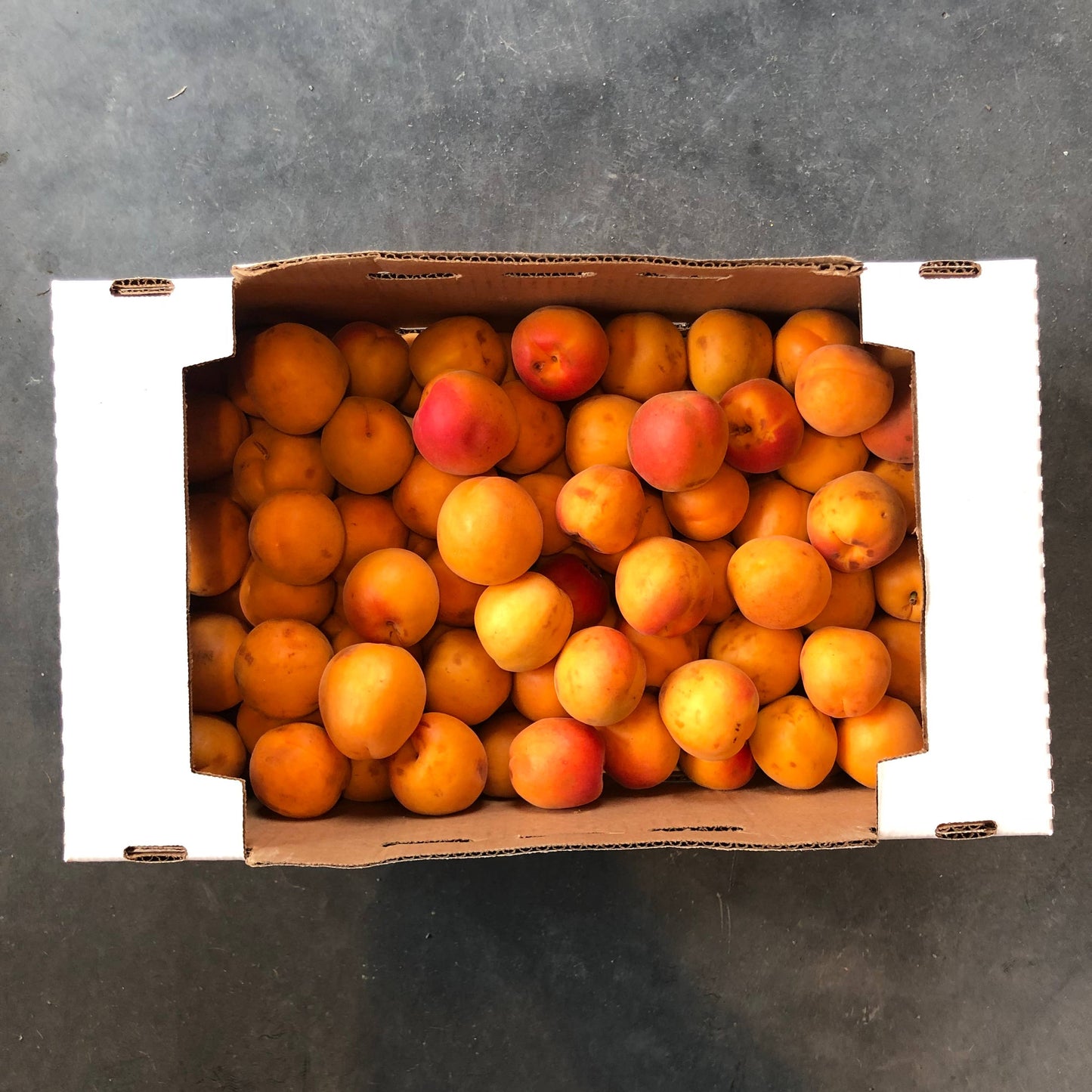Orchard Apricot Spoon Preserves 7.75oz