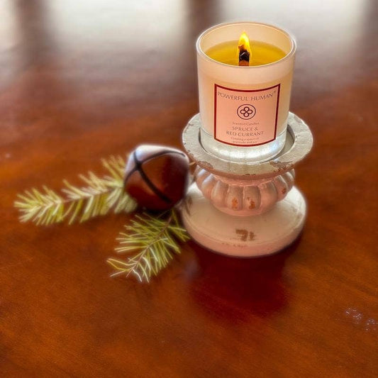 SPRUCE AND RED CURRANT Candle - Creating a space of gratitude and joy