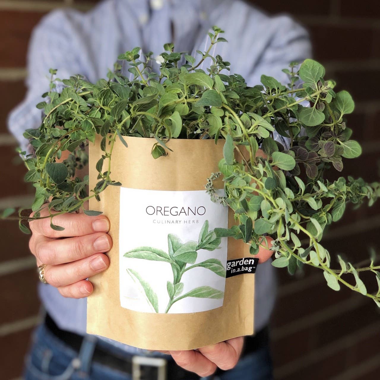 Garden in a Bag | Oregano