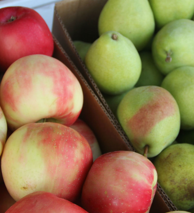 Sm Apple Pear Rasp Apples & Pears - Full Crate – Pak it Rite
