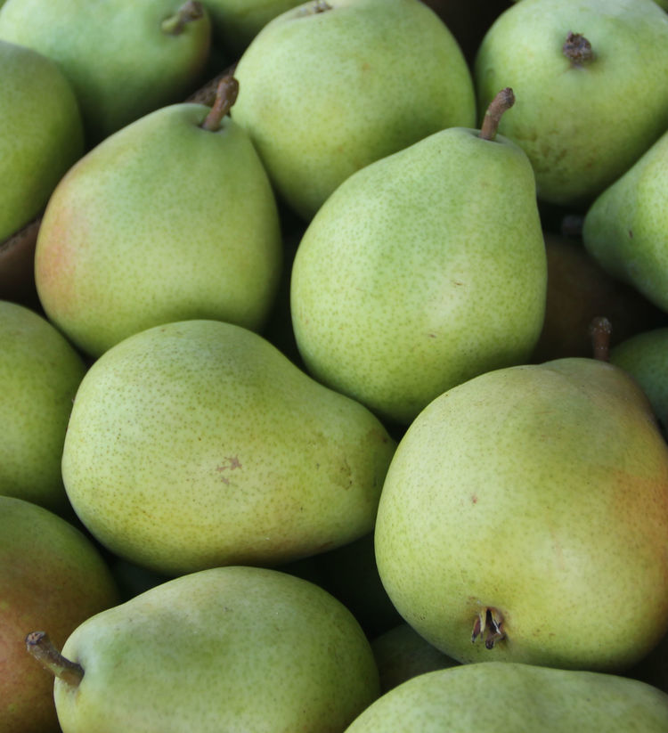 Northwest Pears - Half Crate