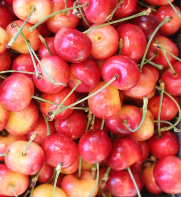 Fresh Rainier Cherries