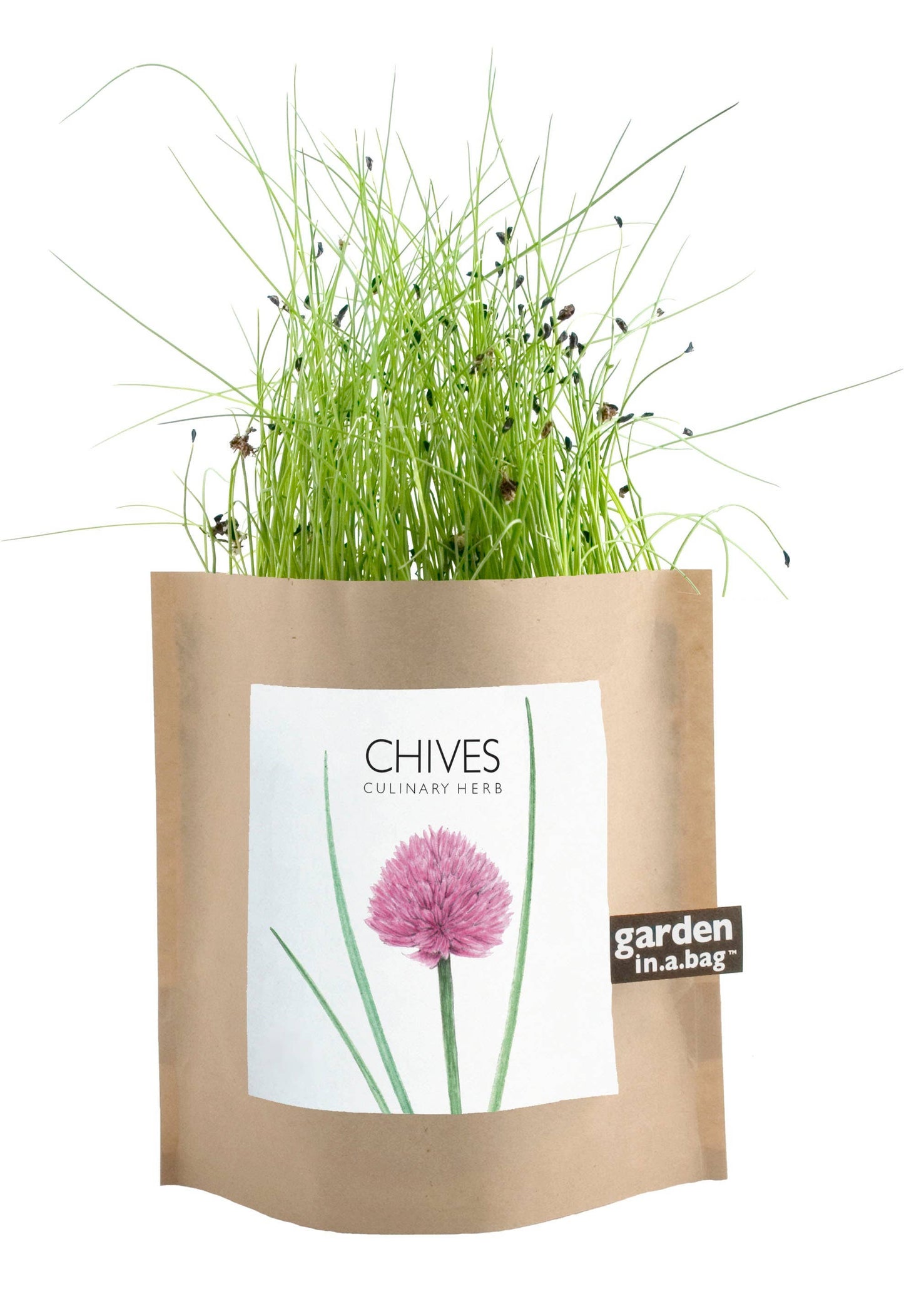 Garden in a Bag | Chives